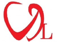 vdl vdl